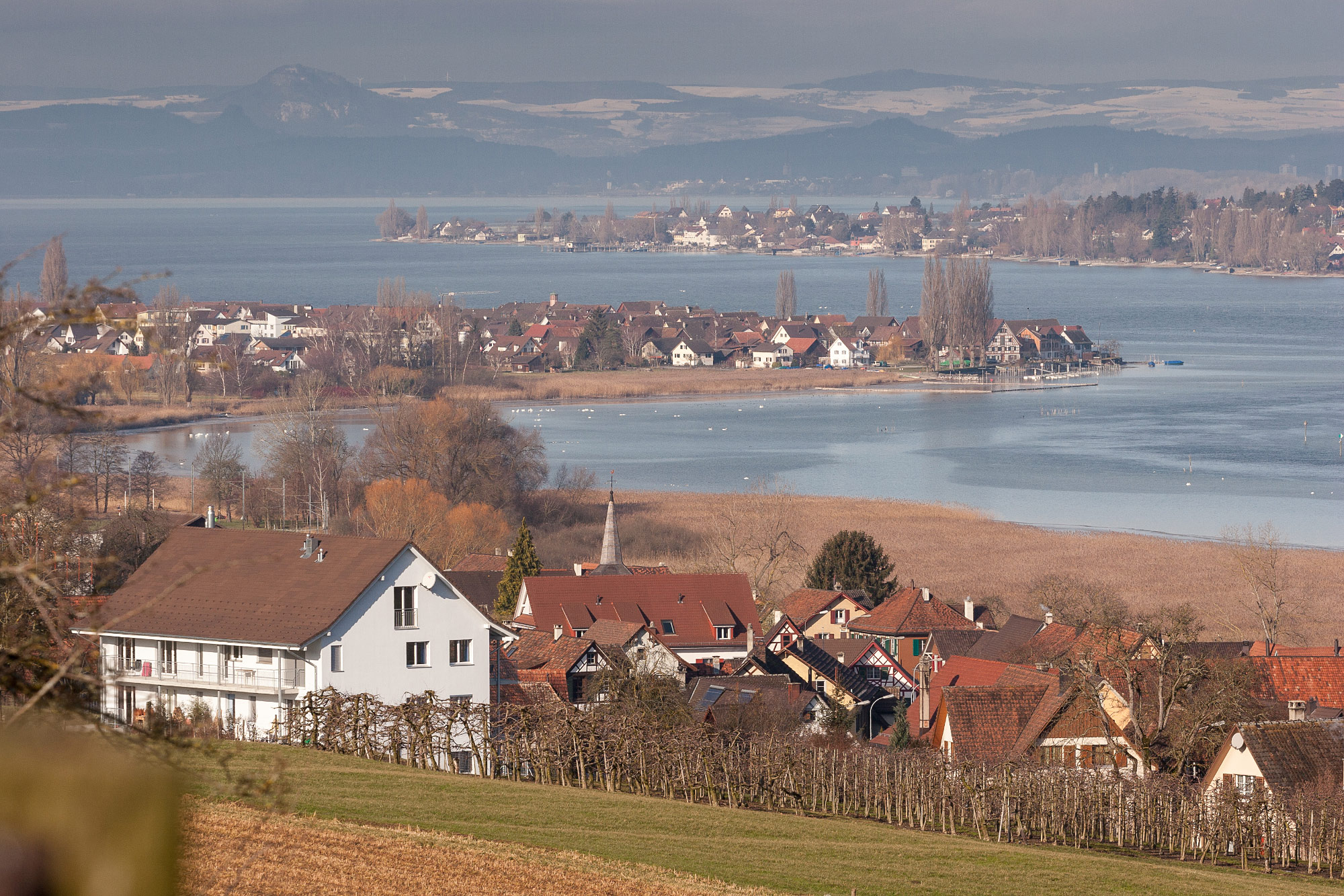 Triboltingen (Photo License: CC-BY-SA-4.0)